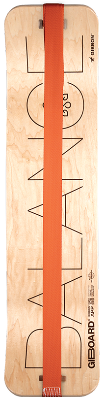 THE ULTIMATE BALANCE TRAINER