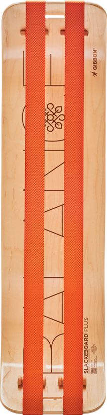 SlackBoard Plus - Balance