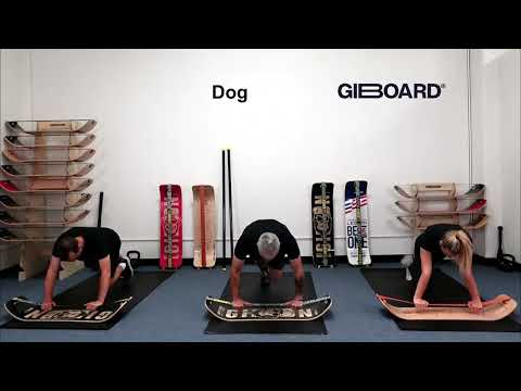 Dog Exercise Demonstration on a SlackBoard Balance Board