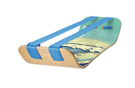 SlackBoard Plus
